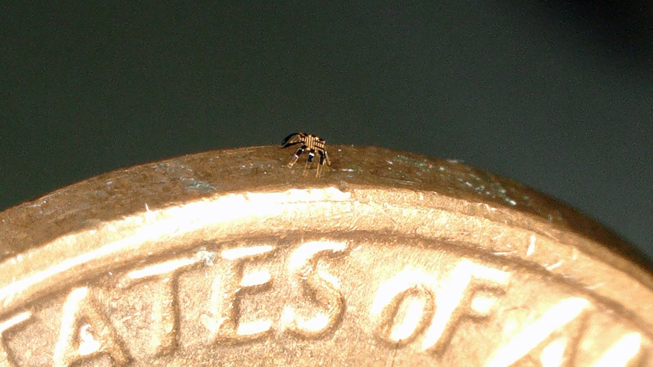 Robot on edge of a coin