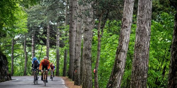 Riders struggle up the final climb on stage 15 of the Giro d'Italia