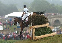 FoxPittWilliam_Blenheim.jpg