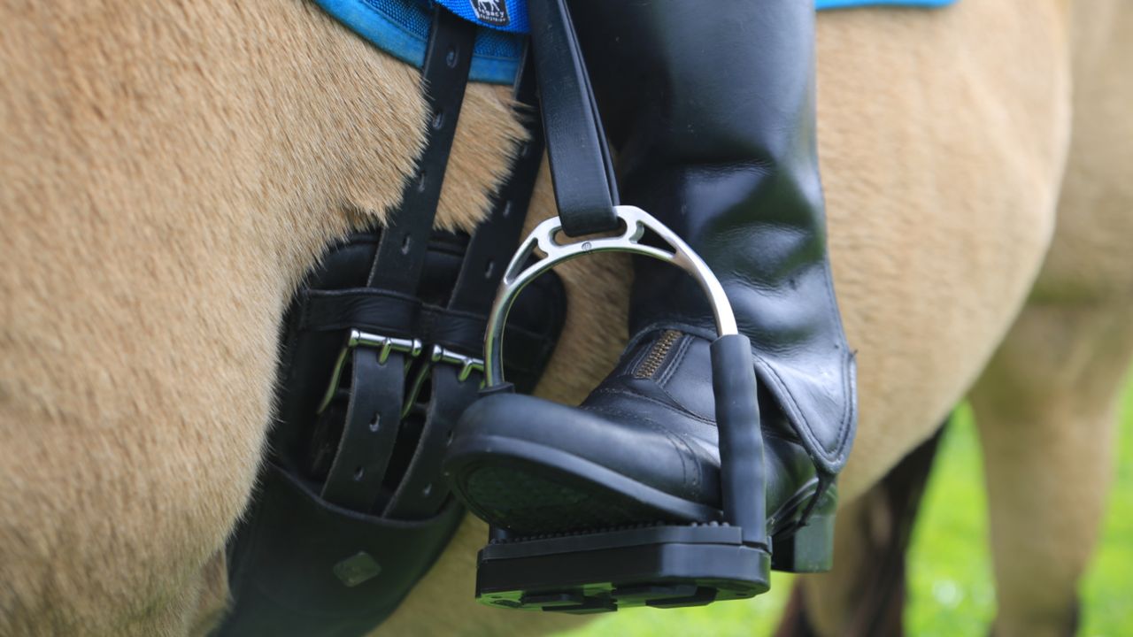 Foot in Sprenger Bow Balance Stirrups
