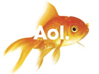 AOL fish