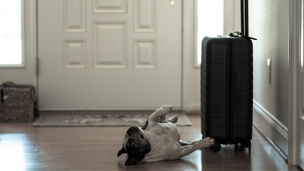 Away's batteryinfused carryon is a techie's dream TechRadar