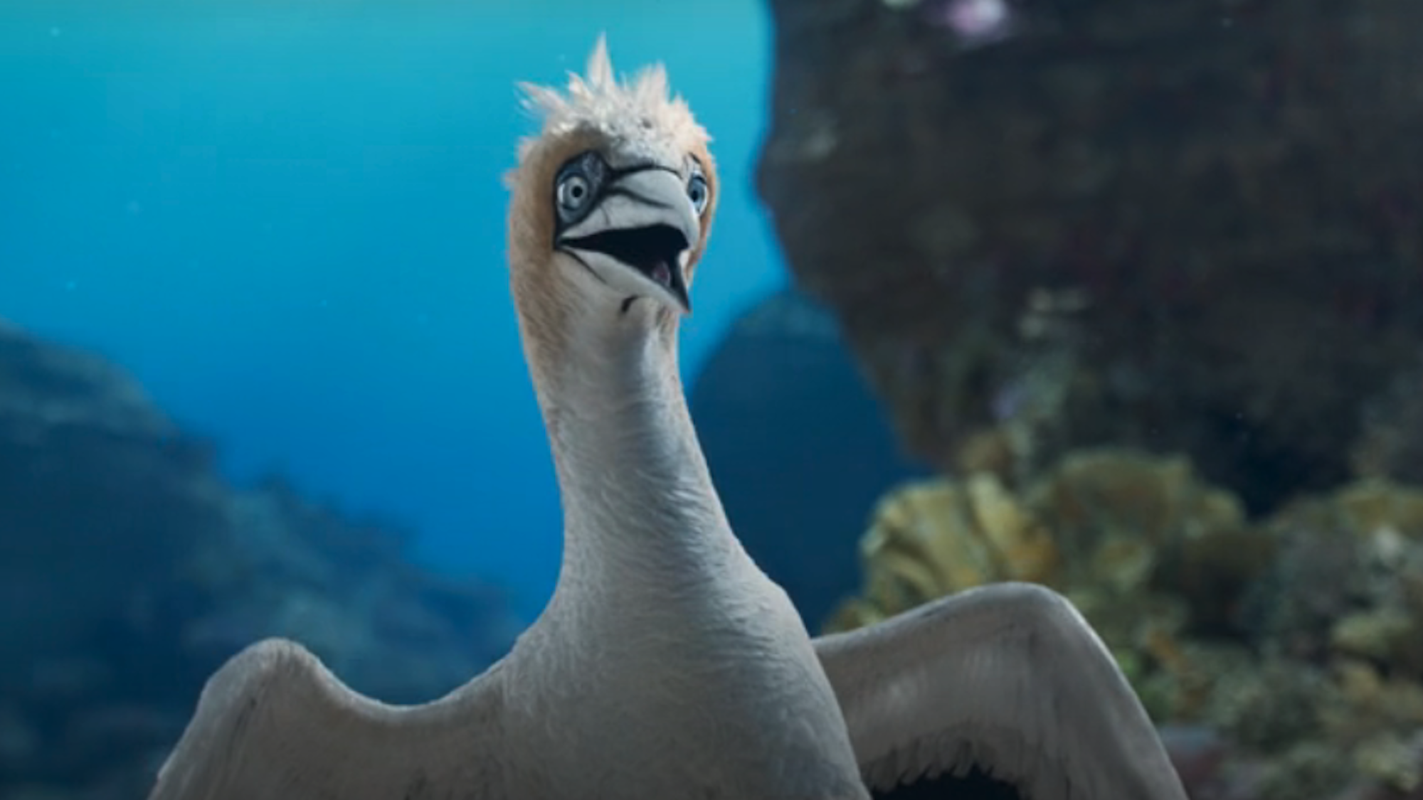 Scuttle in the live-action Little Mermaid