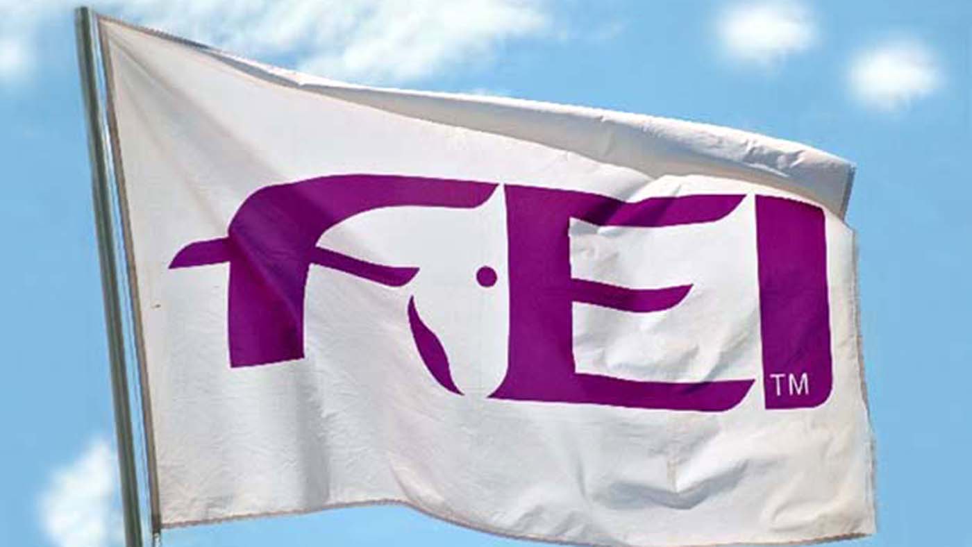 fei-flag-new.jpeg