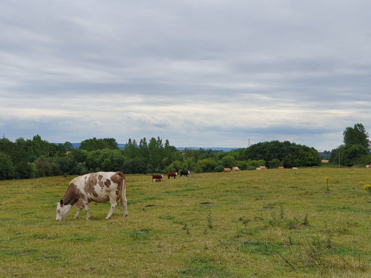 This landscape shot has a pleasing amount of saturation and detail across the scene.