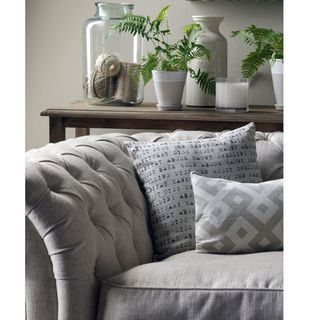 sofa set with white and grey printed cushions and green plant in white pot