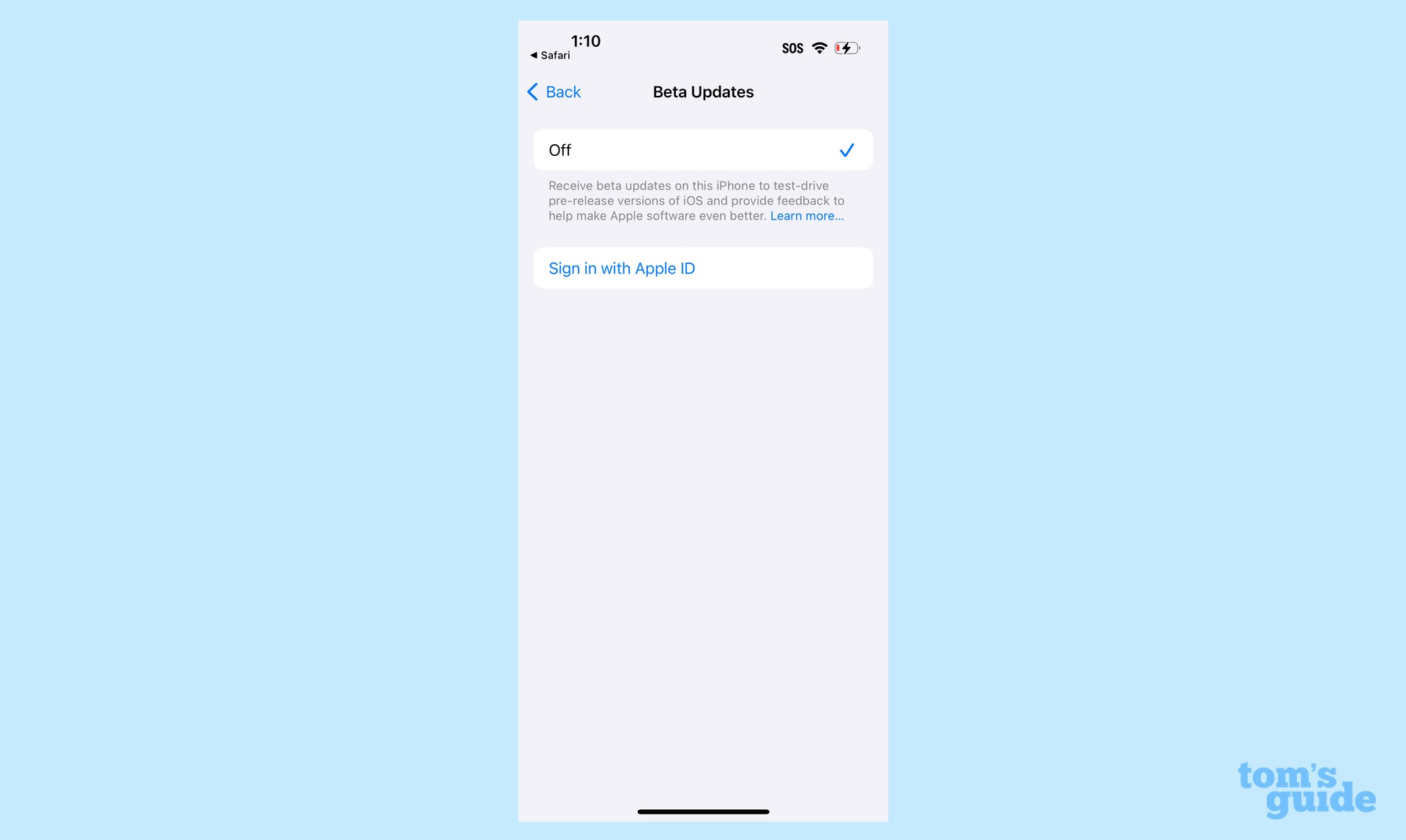 Turn on Beta Updates in iOS Software update