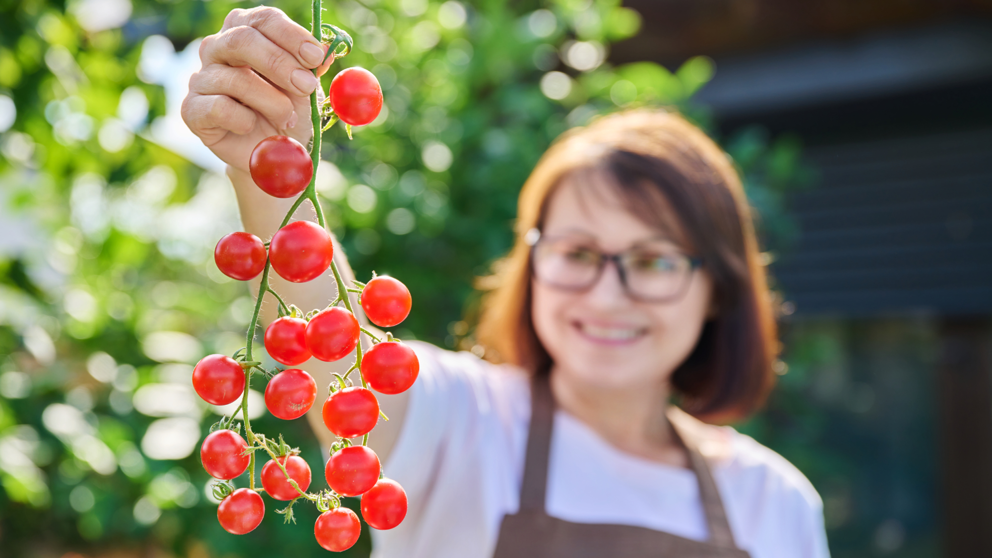 smiling woman holding up homegrown truss of cherry tomatoes