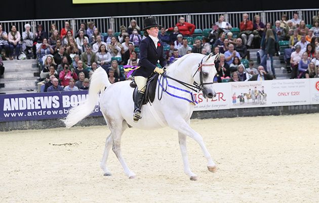 Merv-Simon-Constable-Equine-Vets-and-Mr-Mrs-Roberts-Ridden-Purebred-Arab-of-the-Year-Championship-3.jpg