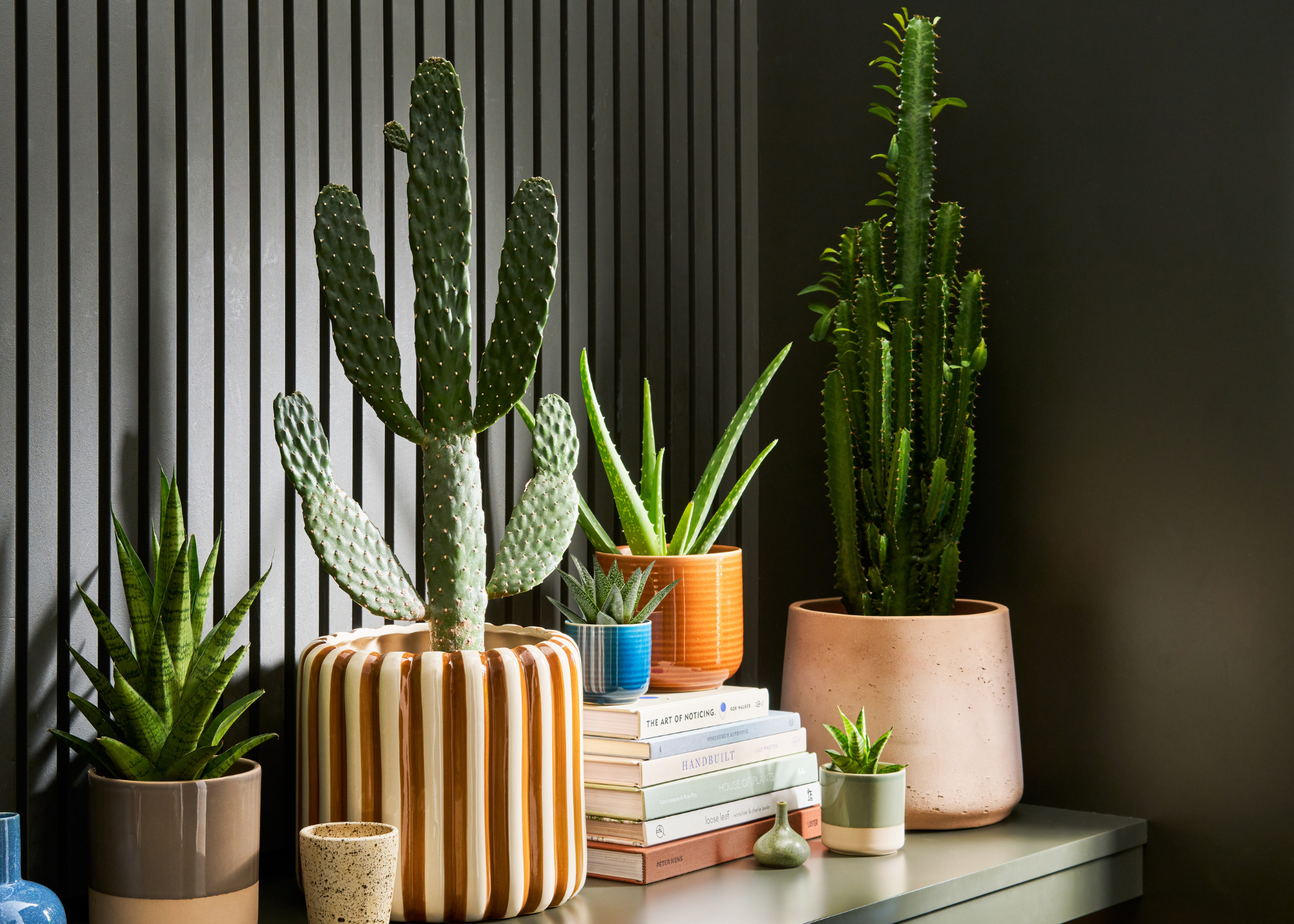 A plant corner with a side table featuring potted cacti and succulents in glazed ceramic planters by a stack of books