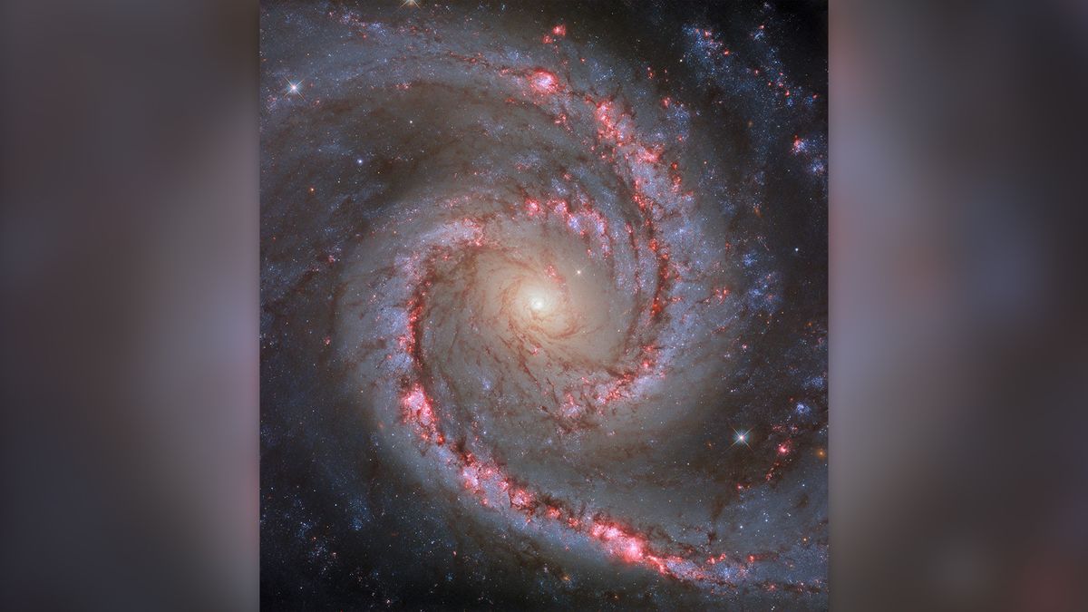NASA’s Hubble legt prachtig beeld vast van wervelend ‘Spanish Dancer Galaxy’