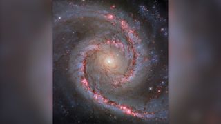 NGC 1566, a spiral galaxy, as seen by the Hubble Space Telescope.