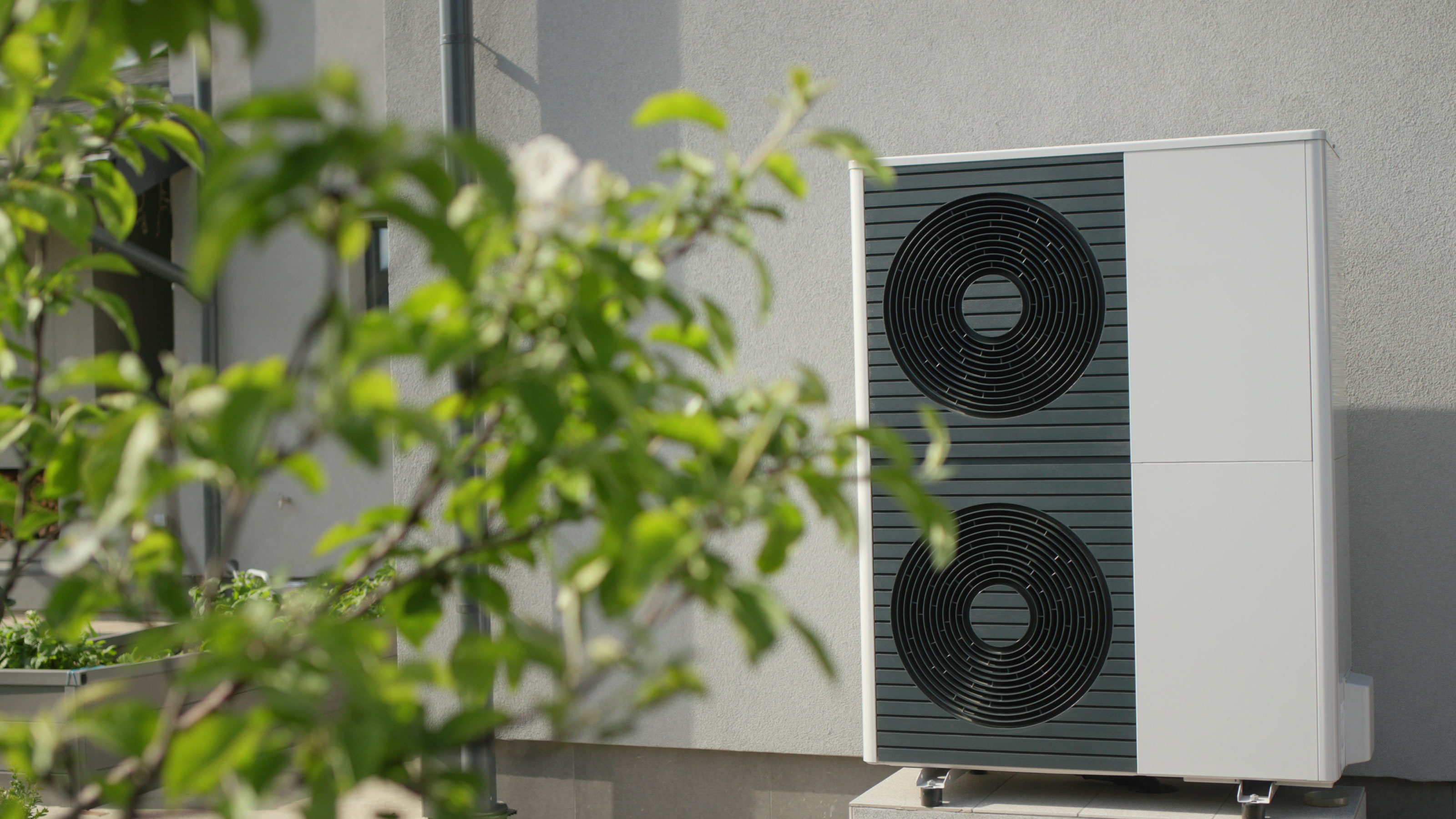 Heat pump outside a white rendered wall with tree foliage in the foreground