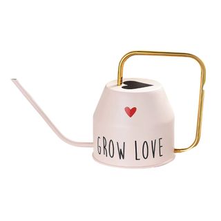 Metal Watering Can with Heart Cutout