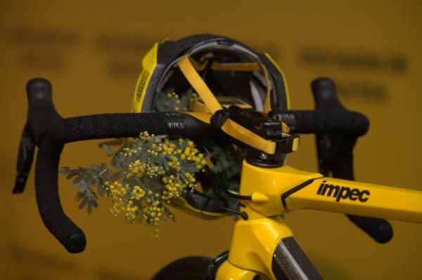 Evans' BMC Time Machine complete with a sprig of wattle