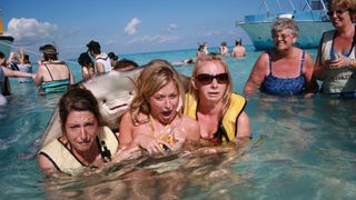 Being photobombed by a friendly manta ray is viral gold