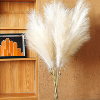 White pampas leaves in a vase