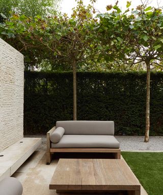 Garden privacy ideas featuring pleached trees, a tall hedge and sleek, modern wood garden furniture.
