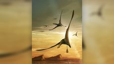 The pterosaur Dearc sgiathanach flies through the Jurassic skies of what is now Scotland.