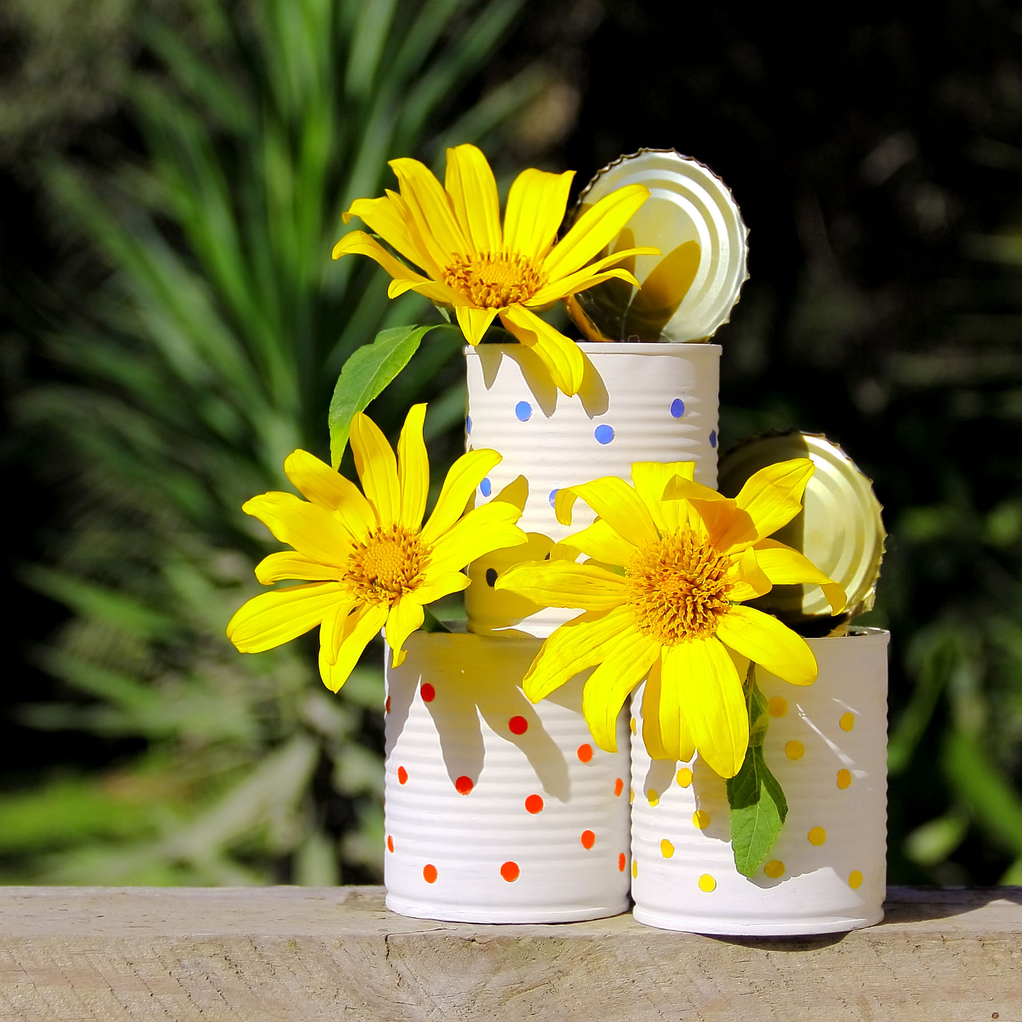 A group of three painted tin cans holding Mexican sunflowers on a rustic windowsill.
