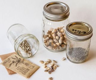 storing seeds in jars