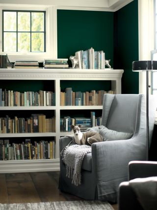 Living room with armchair and bookshelves