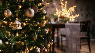 Christmas tree in dining room