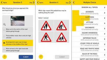 Theory Test Pro