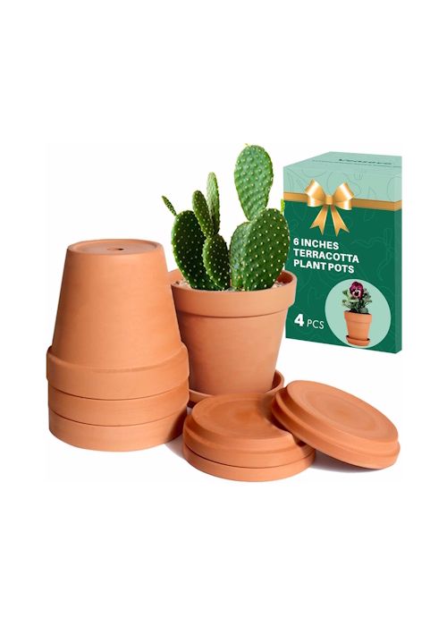 6 Inch Terracotta Pots With Saucer