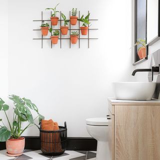 Bathroom with wall-hung flowerpot display and and vanity unit with countertop basin