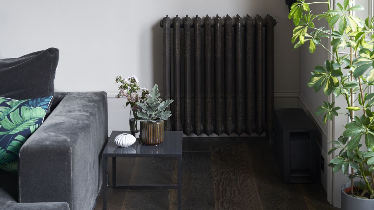 Living room with painted black radiator