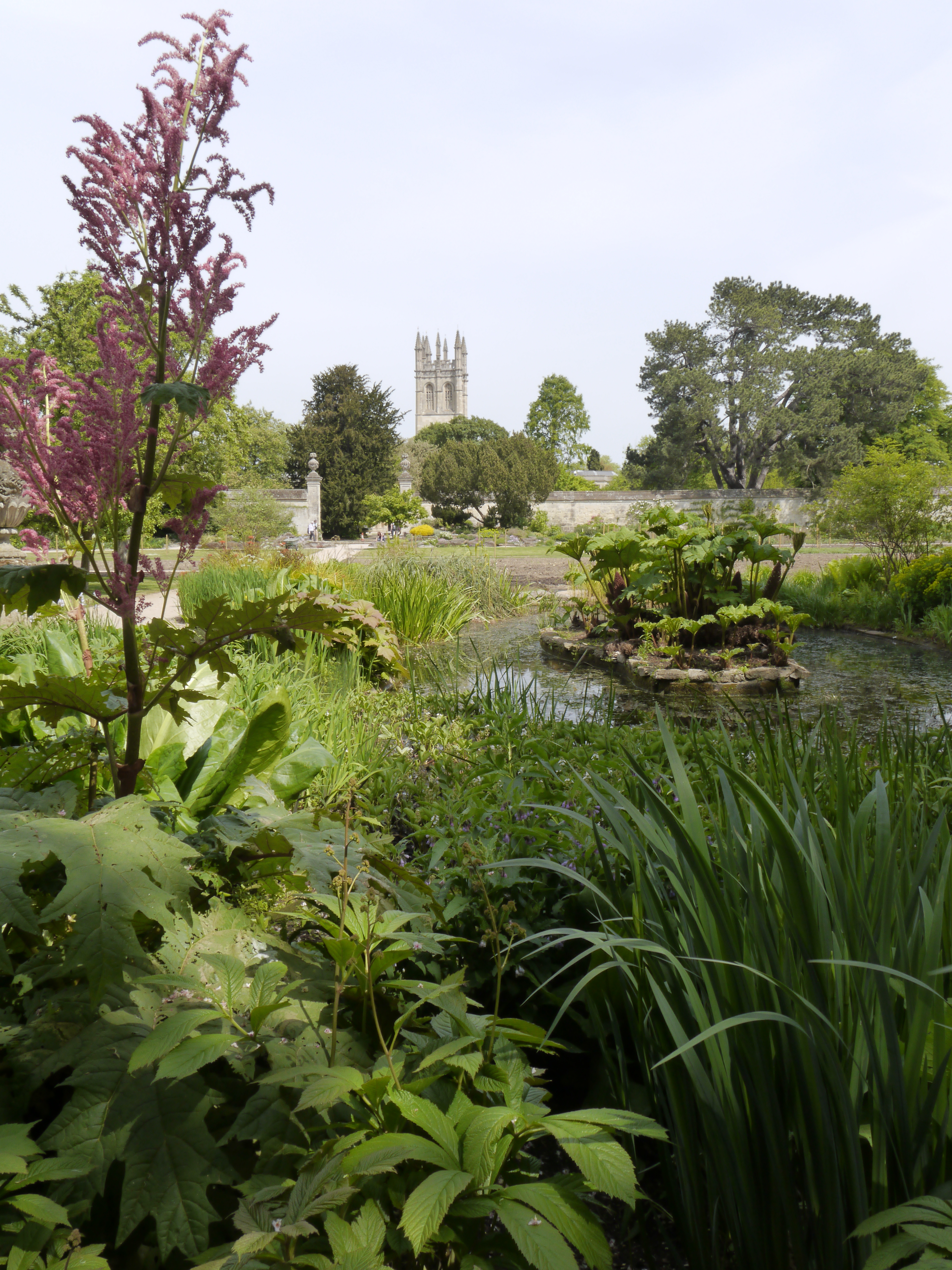 pond