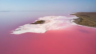 A bright pink salt lake