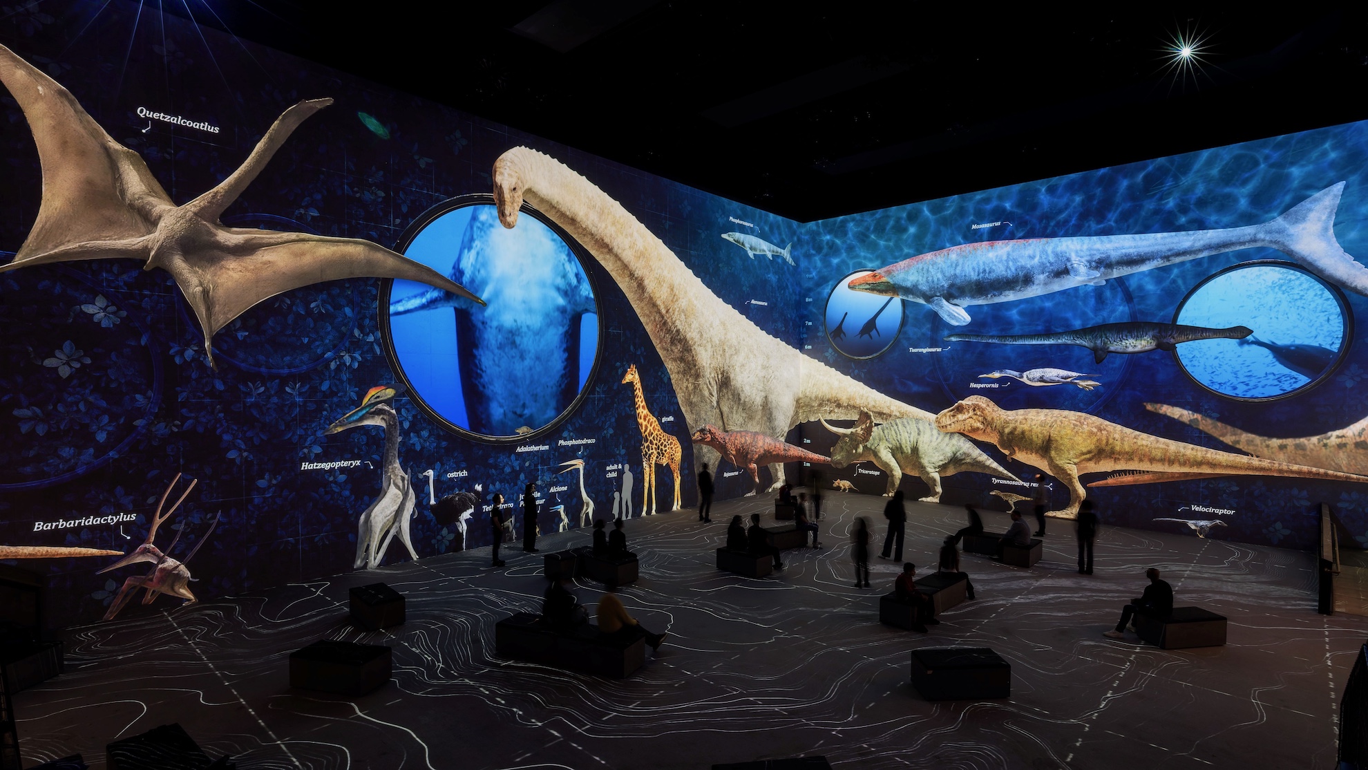 Various dinosaurs with their names projected across two walls at Lightroom, Kings Cross.