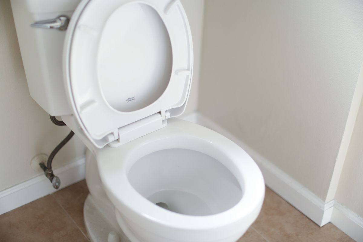 How to Snake a Toilet: 5 Easy Steps, 2024