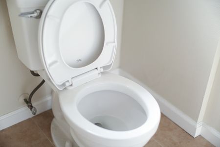 open toilet bowl