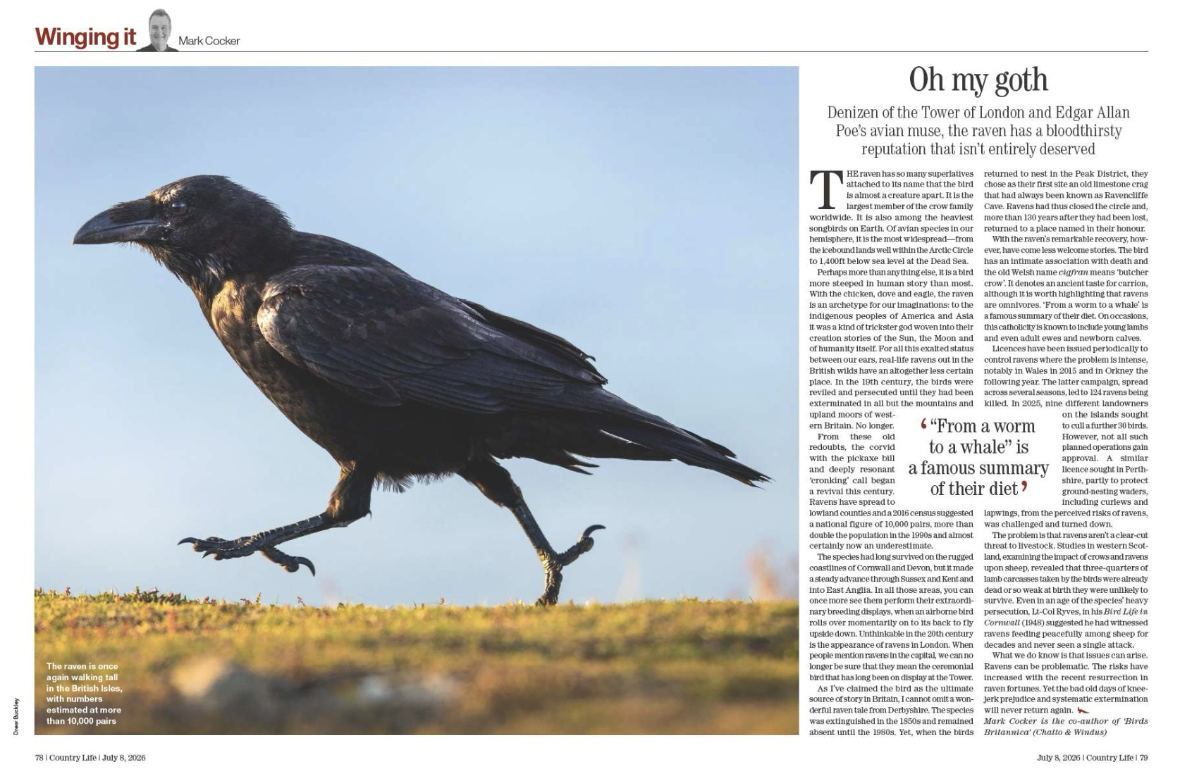 Magazine spread from Country Life 8 July 2026