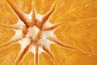 Ripe Juicy Orange by Donald Erickson