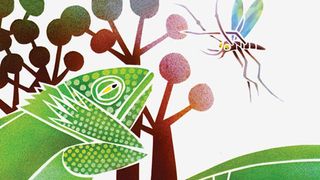 Husband and wife team Leo and Diane Dillon created the vibrant illustrations for this charming picture book