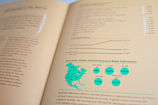 Angel Arroyo uses infographics simply yet beautifully in this brochure for the North American Trends Survey