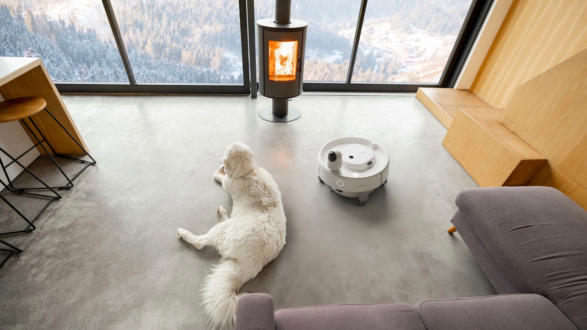 A dog lies next to the SwitchBot with a camera watching it
