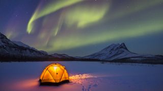 Yellow tent illuminated under the aurora borealis display in Alaska's Arctic.