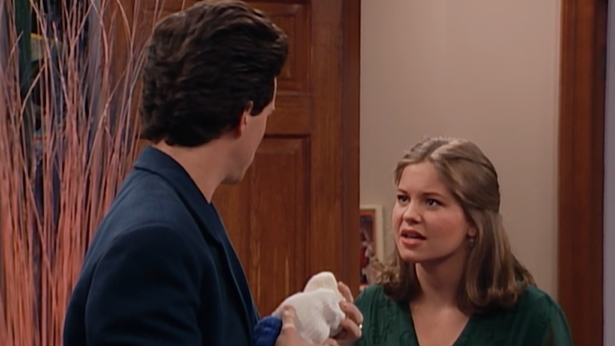 Steve Hale (Scott Weinger) and DJ Tanner (Candace Cameron Bure) have a talk about their differences on Full House.