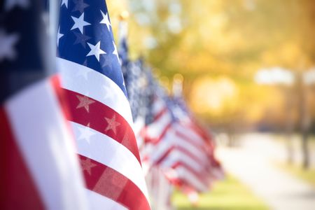 US flags in the foreground with blurred trees in the backgrouind