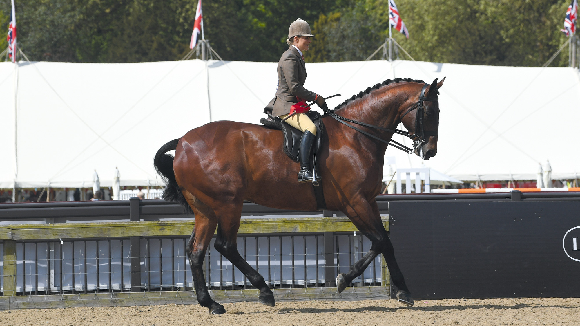 Isle Bright and Danielle Heath win the novice hunter spoils at Royal Windsor in 2018