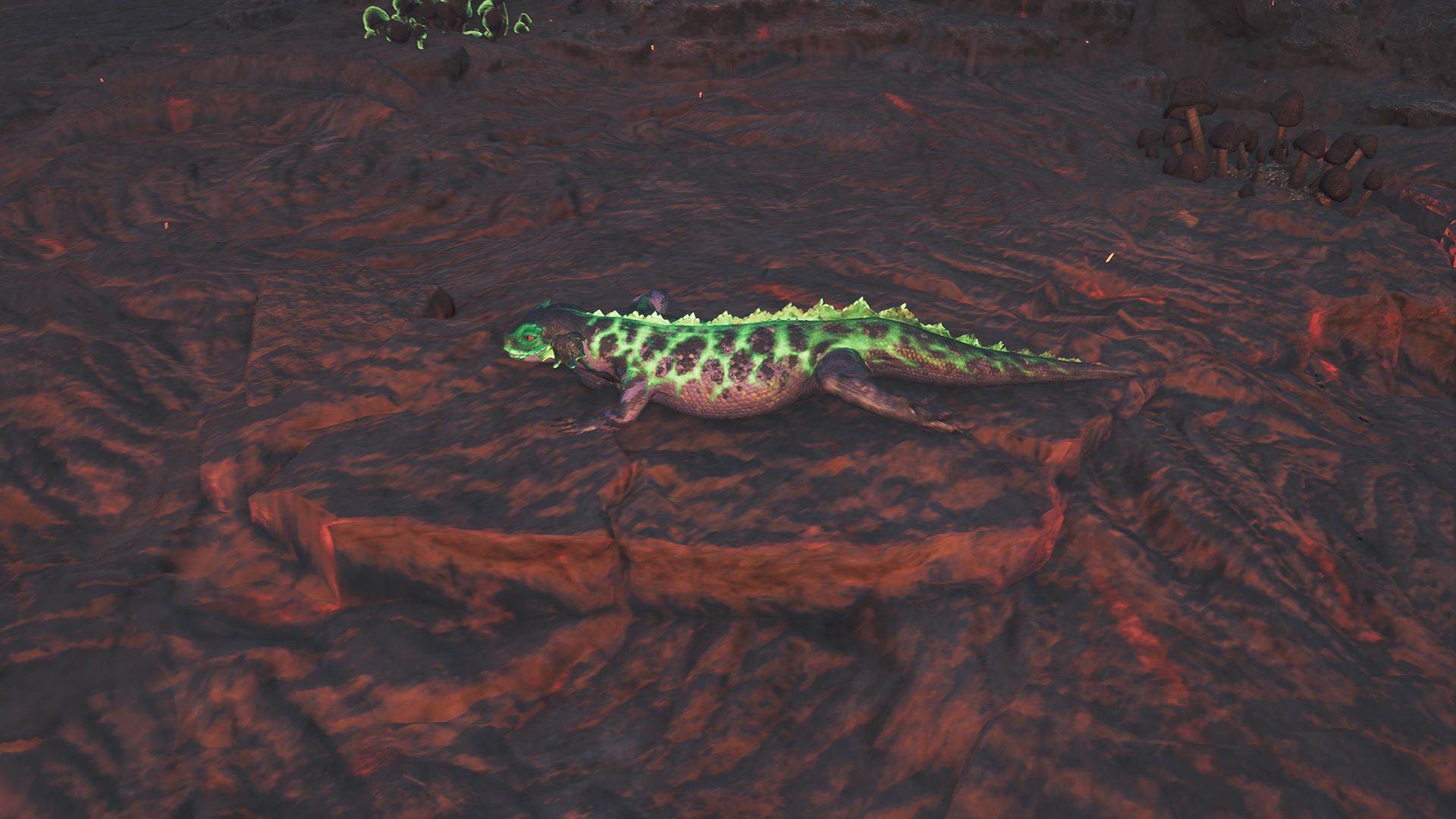 How to catch a Monster Hunter Wilds Ember Rufflizard | GamesRadar+