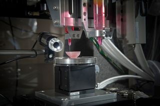 A kidney structure being printed by a 3D printer.