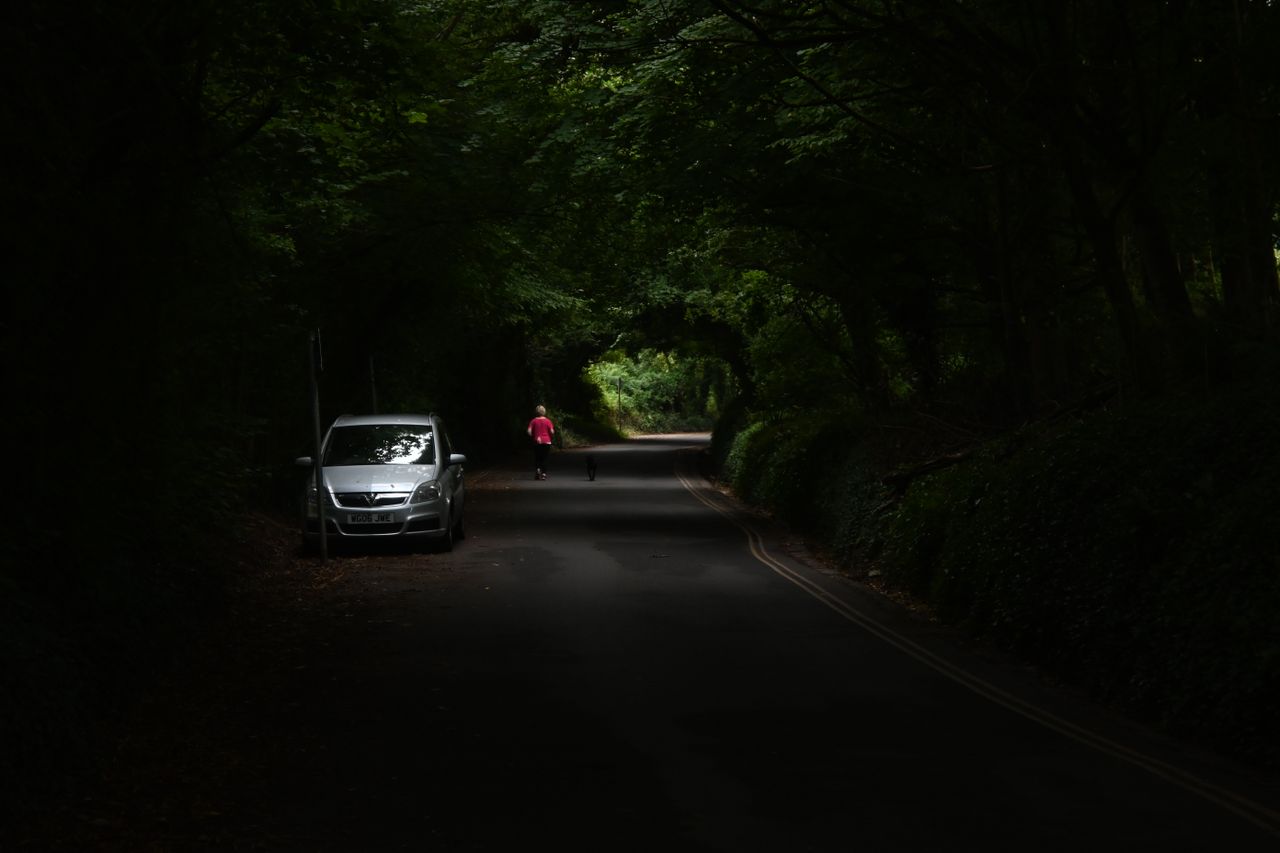 A person running down a road under tree cover