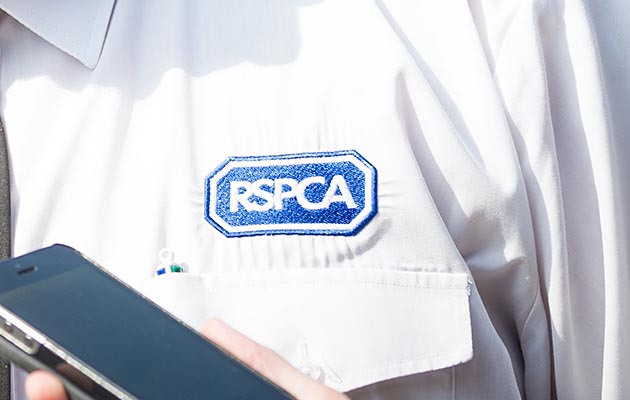 An RSPCA Inspector