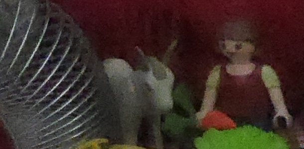 ISO 25600 crop